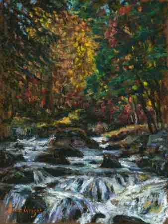 The river rushing between bolders and the trees showing autumn colours