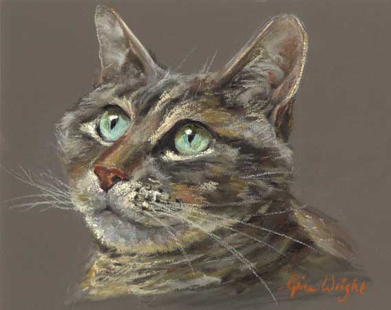 Tabby cat with blue green eyes