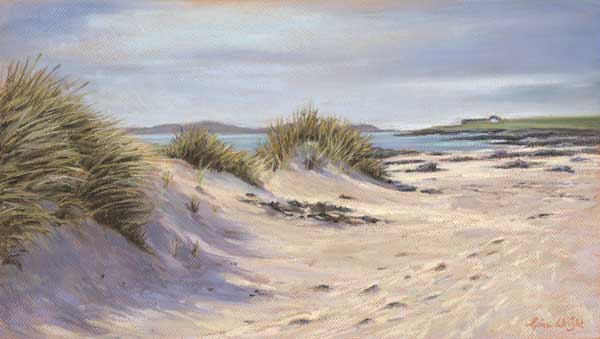Beach dunes on the Isle on Ioan