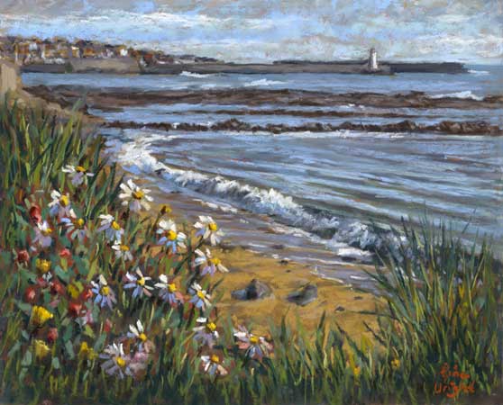 Daisy flowers in dunes with the sea and a harbour in the distance