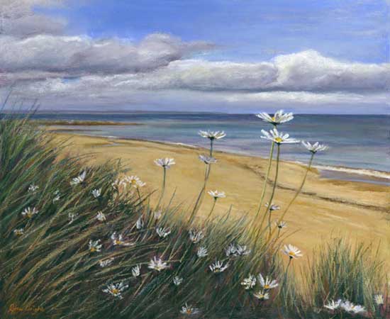 Daisies on Kingsbarns Beach, Acrylic and Pastel on Panel