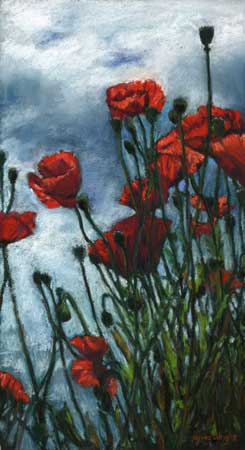 Kingsbarns Poppies, Pastel