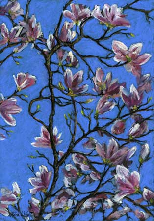 Magnolia On Blue