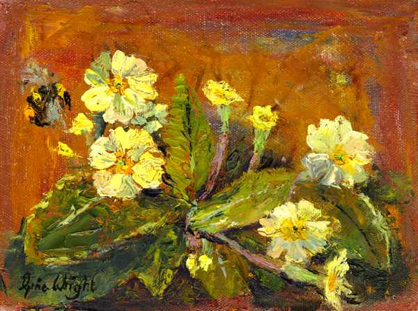 Bee landing on primrose flowers