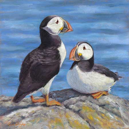 Two puffins on a rock in the sun