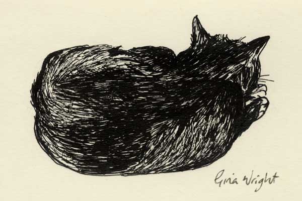 Sleeping Cat One, Ink Sketch