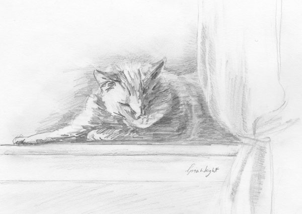 Sleeping in the Sun, Pencil Sketch