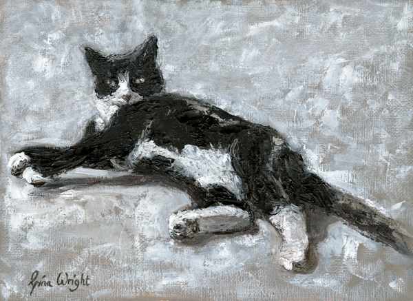 Black and white cat stretched out sunbathing