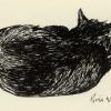 Sleeping Cat One, Ink Sketch