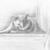 Sleeping in the Sun, Pencil Sketch