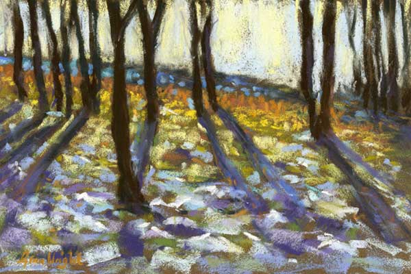 Sun Through the Trees