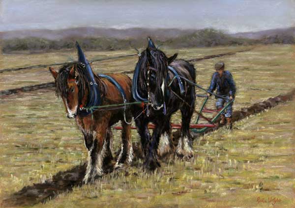 The Ploughing
