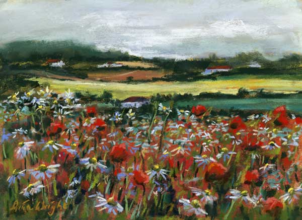 Wild Flowers, Fife