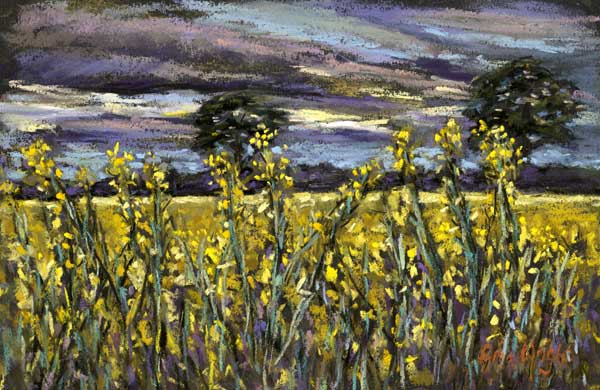 Yellow Field At Dusk